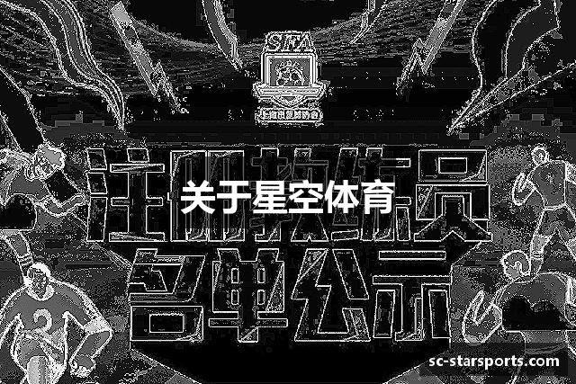 关于星空体育